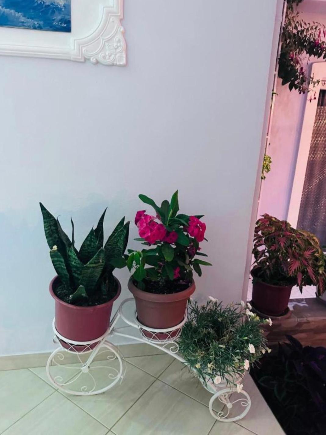 Sala Apartment'S Sarandë Buitenkant foto